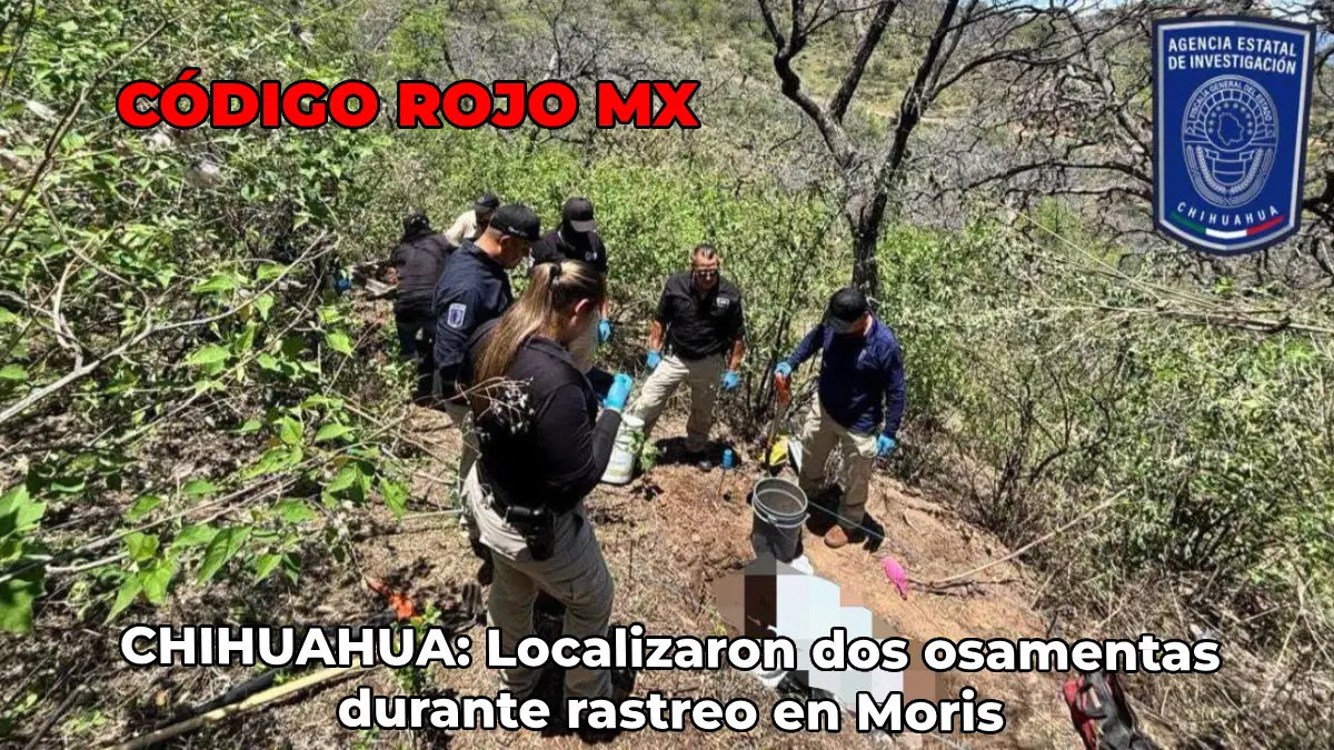 ESCÁNDALO EN SINALOA: Cae el "Güero Pink" en Escuinapa junto al exdirector de Seguridad Pública Municipal