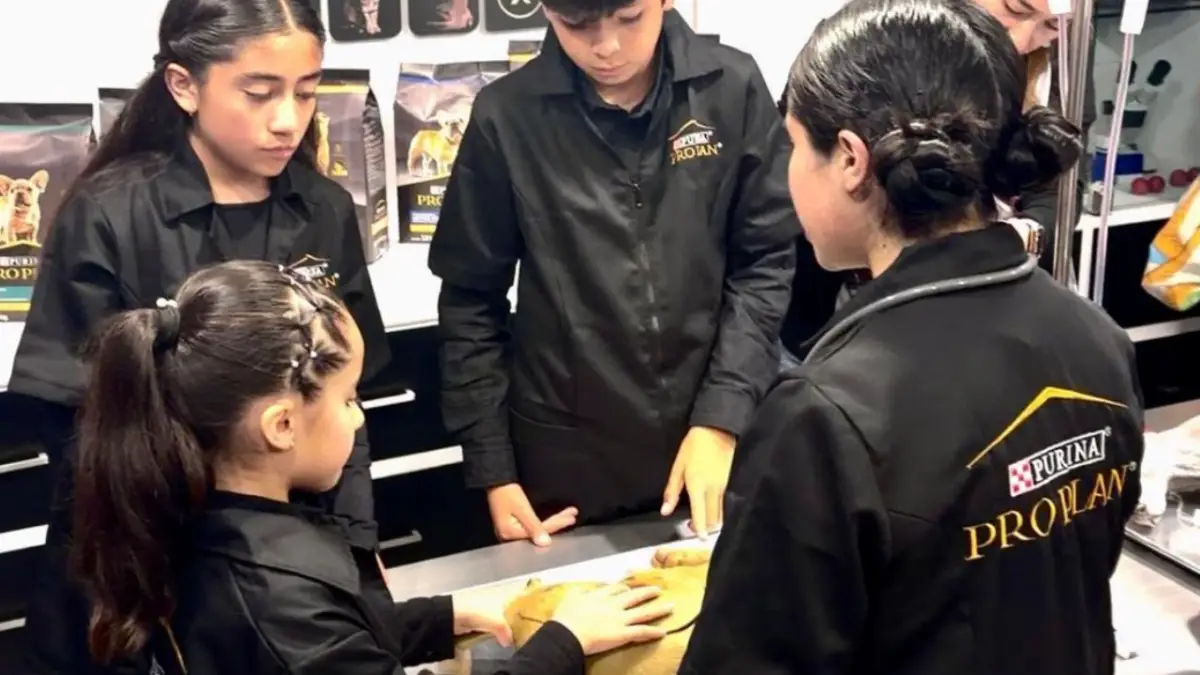 Pro Plan inaugura la "Escuela Veterinaria de Purina" en KidZania Santa Fe